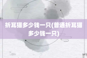 折耳猫多少钱一只(普通折耳猫多少钱一只)