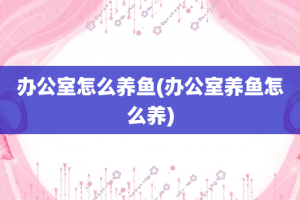 办公室怎么养鱼(办公室养鱼怎么养)