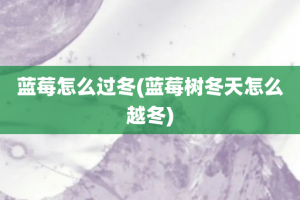 蓝莓怎么过冬(蓝莓树冬天怎么越冬)