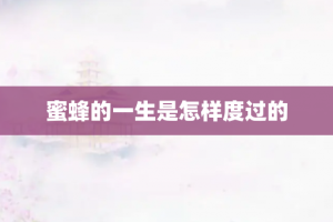 蜜蜂的一生是怎样度过的