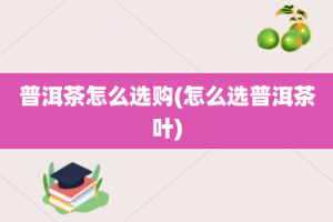 普洱茶怎么选购(怎么选普洱茶叶)