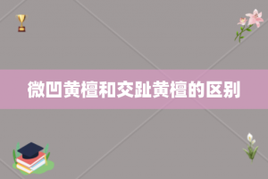 微凹黄檀和交趾黄檀的区别