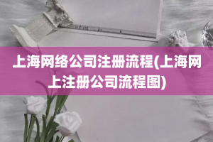 上海网络公司注册流程(上海网上注册公司流程图)