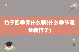 竹子四季穿什么装(什么季节适合栽竹子)