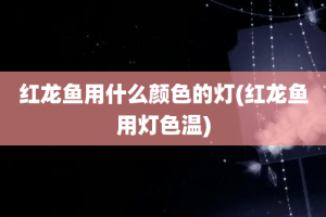 红龙鱼用什么颜色的灯(红龙鱼用灯色温)