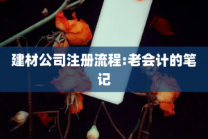 建材公司注册流程:老会计的笔记