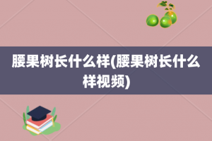 腰果树长什么样(腰果树长什么样视频)