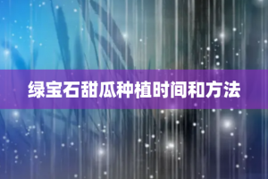 绿宝石甜瓜种植时间和方法