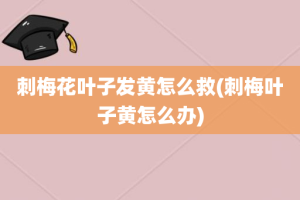 刺梅花叶子发黄怎么救(刺梅叶子黄怎么办)