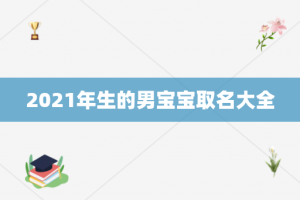 2021年生的男宝宝取名大全