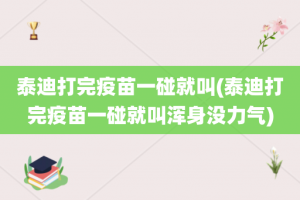 泰迪打完疫苗一碰就叫(泰迪打完疫苗一碰就叫浑身没力气)