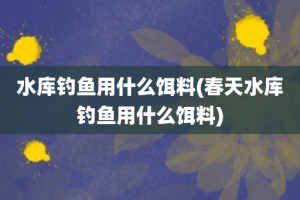 水库钓鱼用什么饵料(春天水库钓鱼用什么饵料)