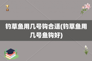 钓草鱼用几号钩合适(钓草鱼用几号鱼钩好)