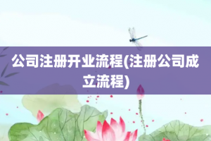 公司注册开业流程(注册公司成立流程)