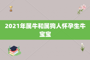 2021年属牛和属狗人怀孕生牛宝宝