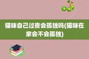 猫咪自己过夜会孤独吗(猫咪在家会不会孤独)
