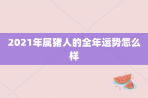 2021年属猪人的全年运势怎么样