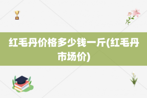 红毛丹价格多少钱一斤(红毛丹市场价)