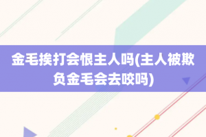 金毛挨打会恨主人吗(主人被欺负金毛会去咬吗)