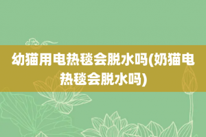 幼猫用电热毯会脱水吗(奶猫电热毯会脱水吗)