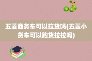 五菱商务车可以拉货吗(五菱小货车可以跑货拉拉吗)