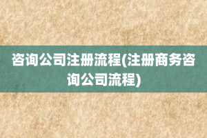 咨询公司注册流程(注册商务咨询公司流程)