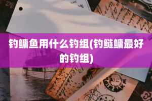 钓鳙鱼用什么钓组(钓鲢鳙最好的钓组)