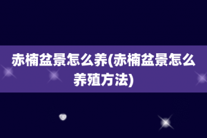 赤楠盆景怎么养(赤楠盆景怎么养殖方法)