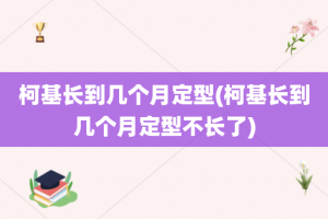 柯基长到几个月定型(柯基长到几个月定型不长了)