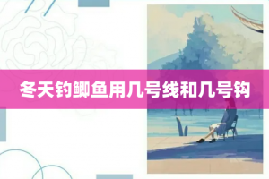 冬天钓鲫鱼用几号线和几号钩