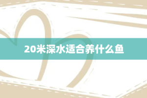 20米深水适合养什么鱼