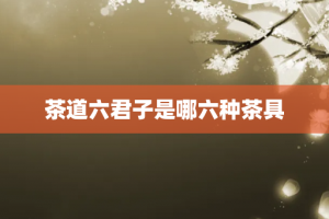 茶道六君子是哪六种茶具