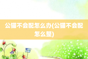 公猫不会配怎么办(公猫不会配怎么整)