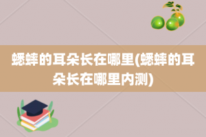蟋蟀的耳朵长在哪里(蟋蟀的耳朵长在哪里内测)