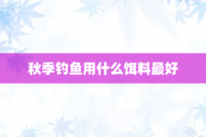 秋季钓鱼用什么饵料最好