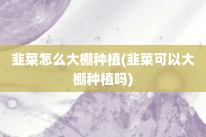 韭菜怎么大棚种植(韭菜可以大棚种植吗)