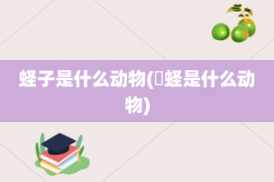 蛏子是什么动物(螠蛏是什么动物)