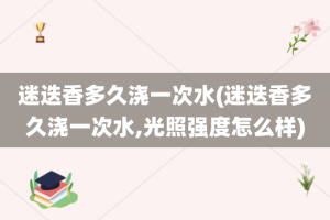 迷迭香多久浇一次水(迷迭香多久浇一次水,光照强度怎么样)