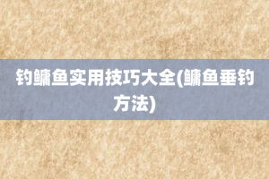 钓鳙鱼实用技巧大全(鳙鱼垂钓方法)