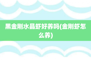 黑金刚水晶虾好养吗(金刚虾怎么养)
