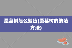 桑葚树怎么繁殖(桑葚树的繁殖方法)