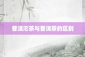 普洱沱茶与普洱茶的区别