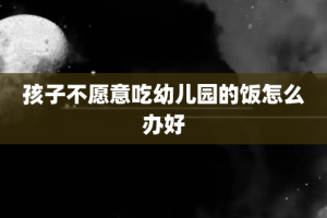 孩子不愿意吃幼儿园的饭怎么办好