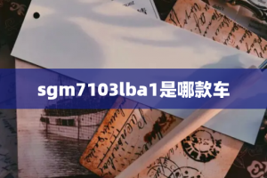 sgm7103lba1是哪款车