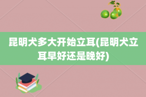 昆明犬多大开始立耳(昆明犬立耳早好还是晚好)