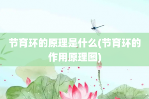节育环的原理是什么(节育环的作用原理图)