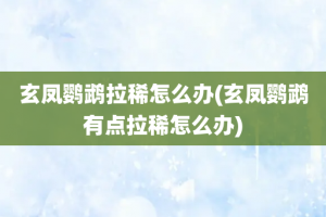 玄凤鹦鹉拉稀怎么办(玄凤鹦鹉有点拉稀怎么办)