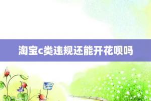 淘宝c类违规还能开花呗吗