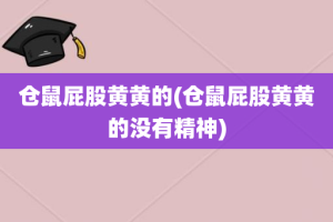仓鼠屁股黄黄的(仓鼠屁股黄黄的没有精神)