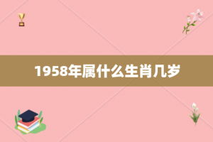 1958年属什么生肖几岁